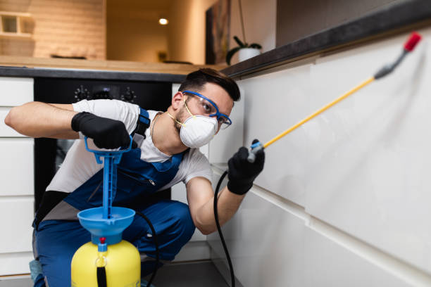 Best Best Pest Control Companies  in North Royalton, OH