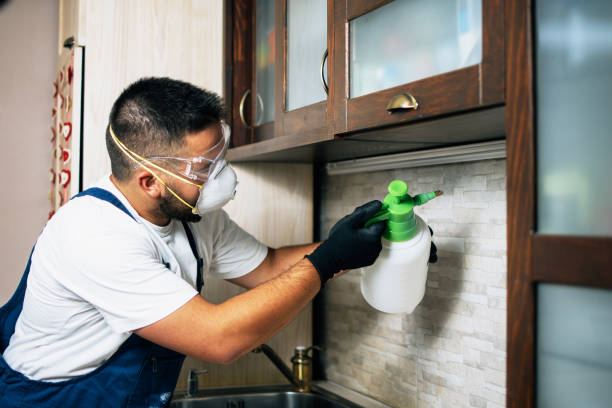 Best Pest Control Near Me in North Royalton, OH