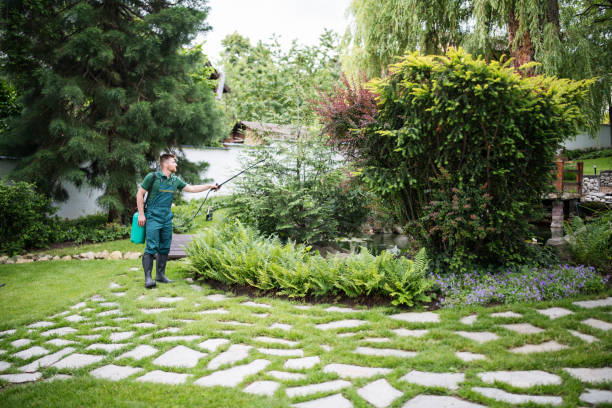 Best Commercial Pest Control Services  in North Royalton, OH