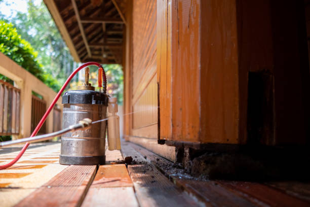 Best Ant Control Services  in North Royalton, OH